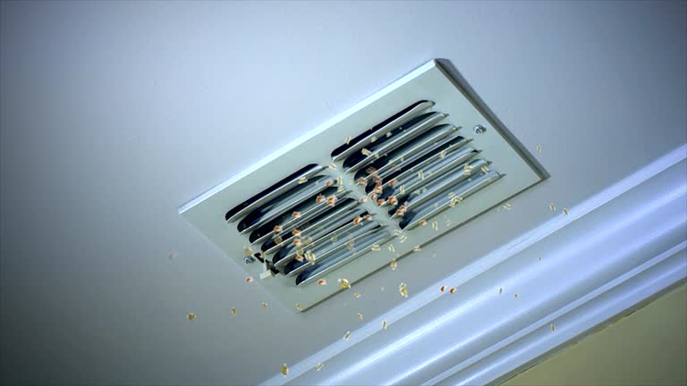Best HVAC Air Duct Cleaning  in Oral City, FL