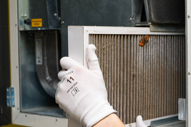 Best Air Duct Cleaning Near Me  in Oral City, FL