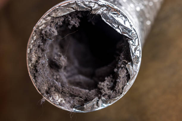 Best Residential Air Duct Cleaning  in Oral City, FL