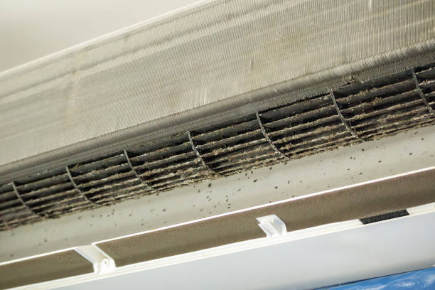 Best Home Air Vent Cleaning  in Oral City, FL